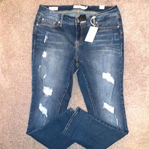 Torrid Jeans